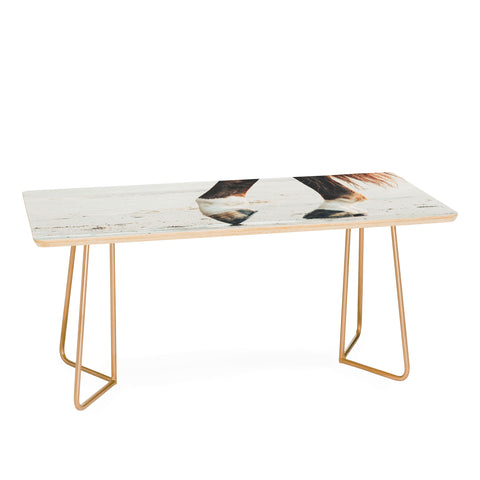 Ingrid Beddoes horse tango Coffee Table