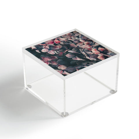 Ingrid Beddoes Hydrangea Moody Blues Acrylic Box