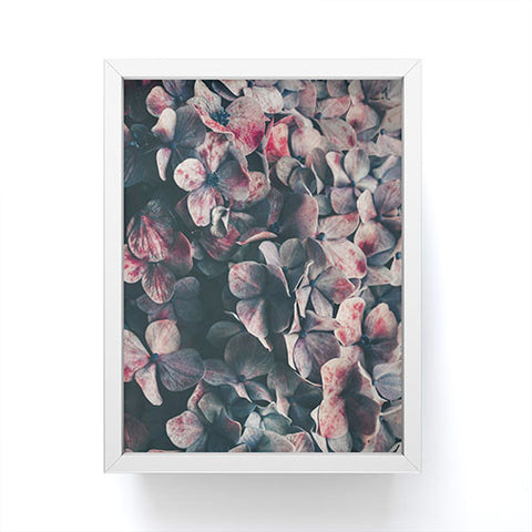 Ingrid Beddoes Hydrangea Moody Blues Framed Mini Art Print