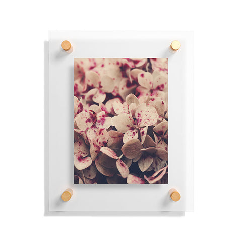 Ingrid Beddoes Hydrangea Pink Freckels Floating Acrylic Print