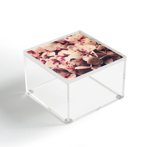 Ingrid Beddoes Hydrangea Pink Freckels Acrylic Box
