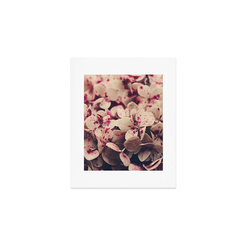 Ingrid Beddoes Hydrangea Pink Freckels Art Print