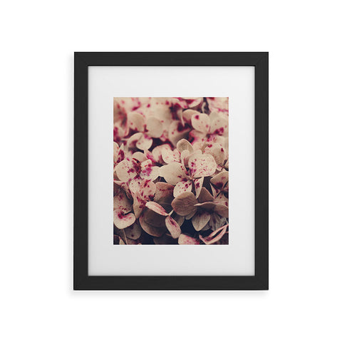 Ingrid Beddoes Hydrangea Pink Freckels Framed Art Print