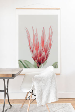 Ingrid Beddoes King Protea flower Art Print And Hanger