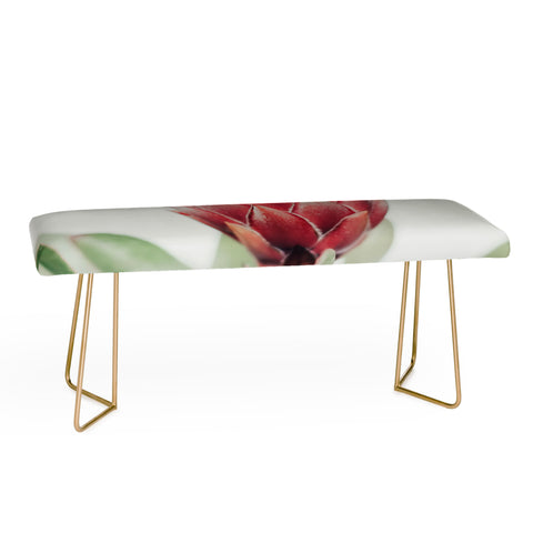 Ingrid Beddoes King Protea flower Bench