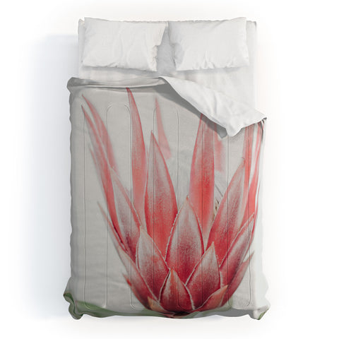 Ingrid Beddoes King Protea flower Comforter