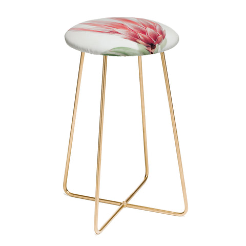Ingrid Beddoes King Protea flower Counter Stool
