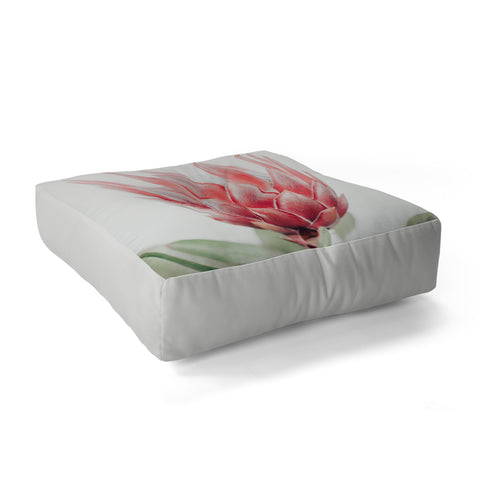 Ingrid Beddoes King Protea flower Floor Pillow Square