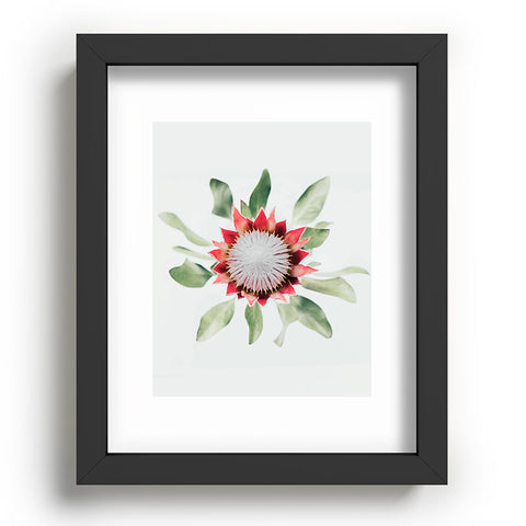 Ingrid Beddoes King Protea flower II Recessed Framing Rectangle