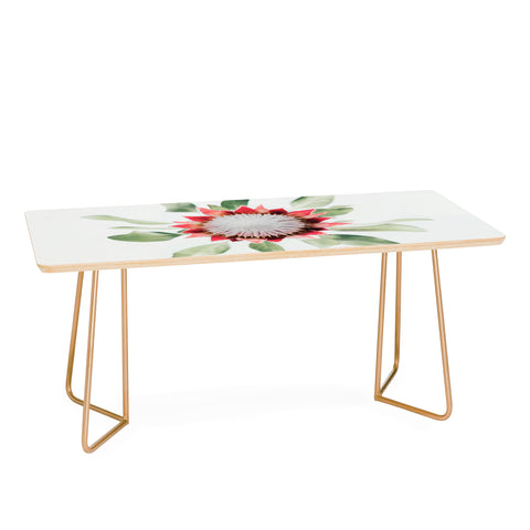 Ingrid Beddoes King Protea flower II Coffee Table