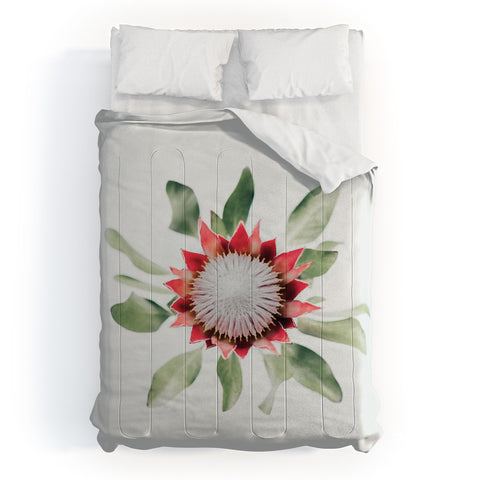Ingrid Beddoes King Protea flower II Comforter