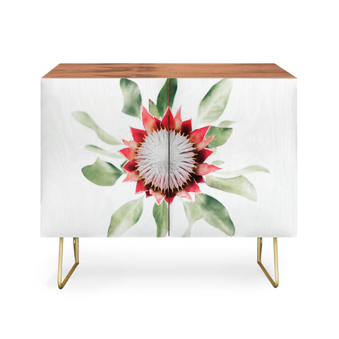 Ingrid Beddoes King Protea flower II Credenza