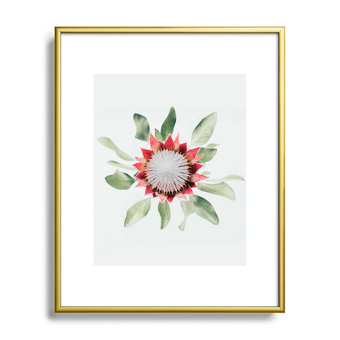 Ingrid Beddoes King Protea flower II Metal Framed Art Print