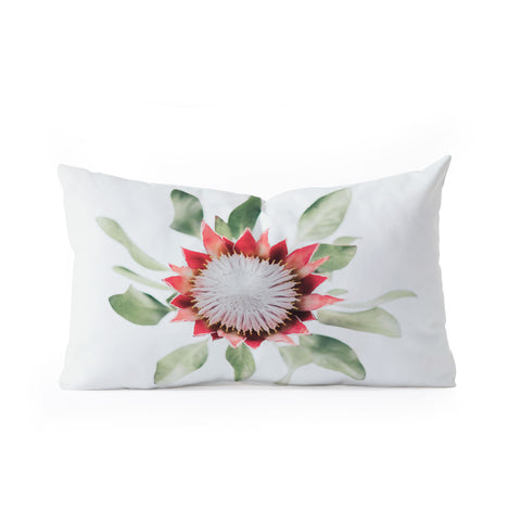 Ingrid Beddoes King Protea flower II Oblong Throw Pillow