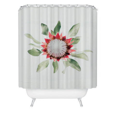 Ingrid Beddoes King Protea flower II Shower Curtain