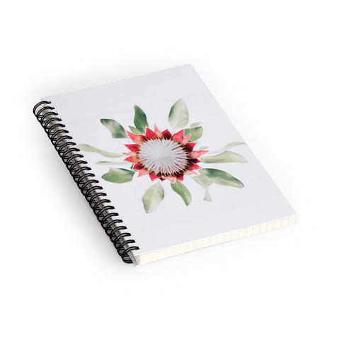 Ingrid Beddoes King Protea flower II Spiral Notebook