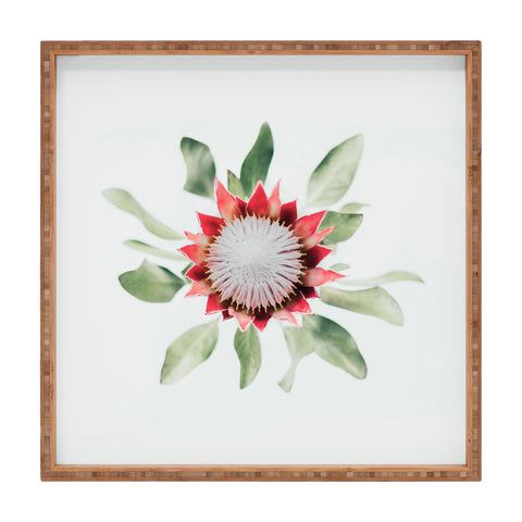 Ingrid Beddoes King Protea flower II Square Tray