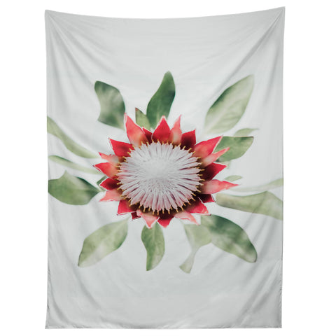 Ingrid Beddoes King Protea flower II Tapestry