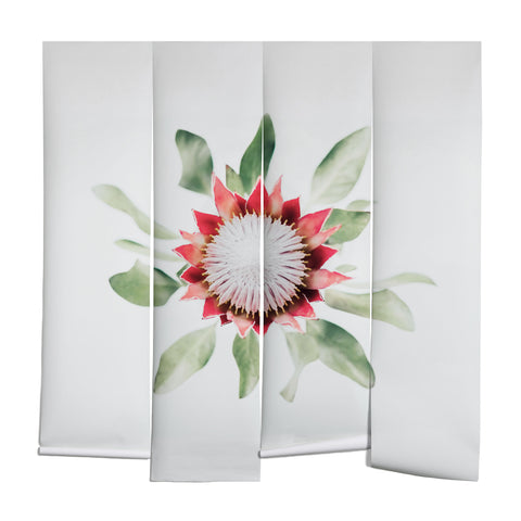 Ingrid Beddoes King Protea flower II Wall Mural