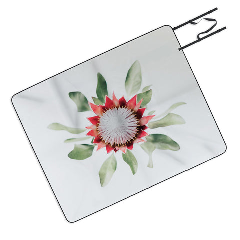 Ingrid Beddoes King Protea flower II Picnic Blanket
