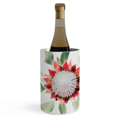 Ingrid Beddoes King Protea flower II Wine Chiller