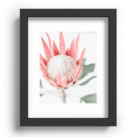 Ingrid Beddoes King Protea flower III Recessed Framing Rectangle