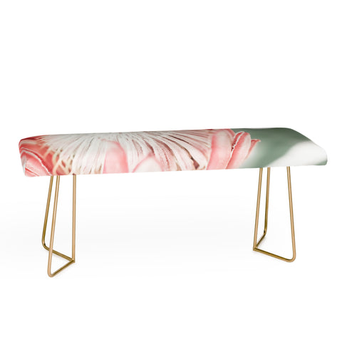 Ingrid Beddoes King Protea flower III Bench