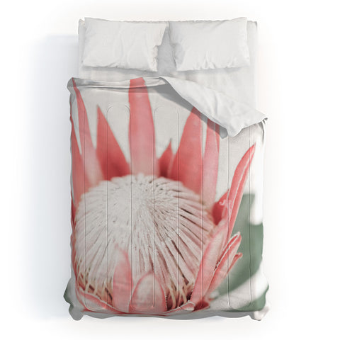 Ingrid Beddoes King Protea flower III Comforter