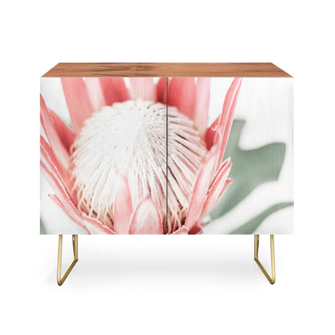 Ingrid Beddoes King Protea flower III Credenza
