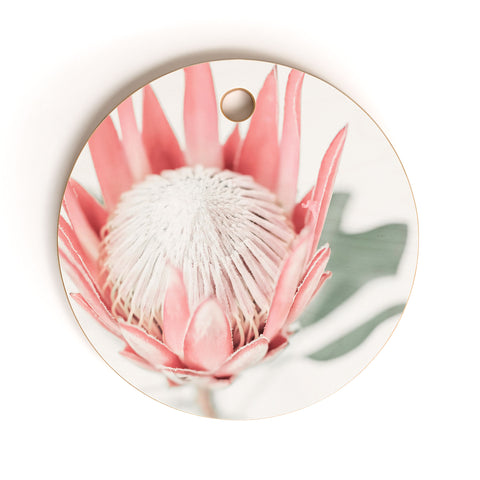 Ingrid Beddoes King Protea flower III Cutting Board Round