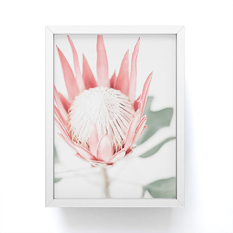 Ingrid Beddoes King Protea flower III Framed Mini Art Print
