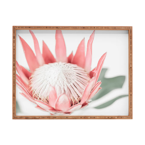 Ingrid Beddoes King Protea flower III Rectangular Tray