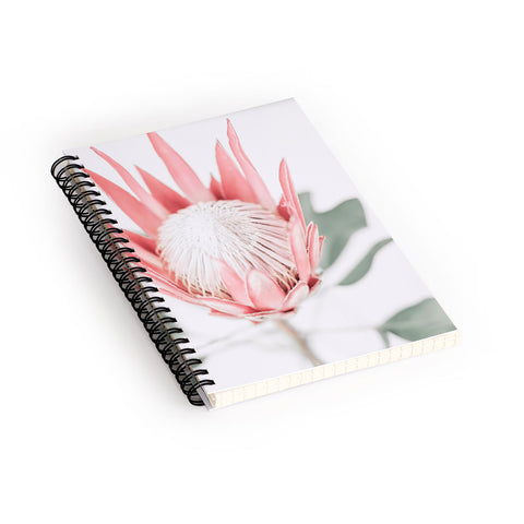 Ingrid Beddoes King Protea flower III Spiral Notebook
