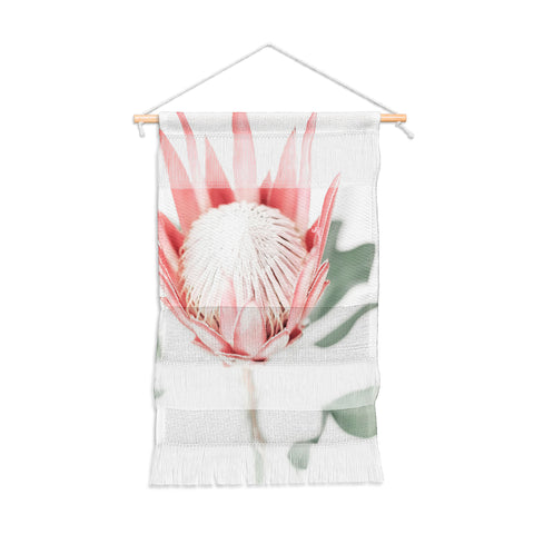 Ingrid Beddoes King Protea flower III Wall Hanging Portrait