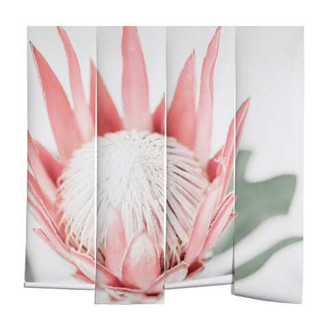 Ingrid Beddoes King Protea flower III Wall Mural