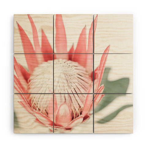 Ingrid Beddoes King Protea flower III Wood Wall Mural