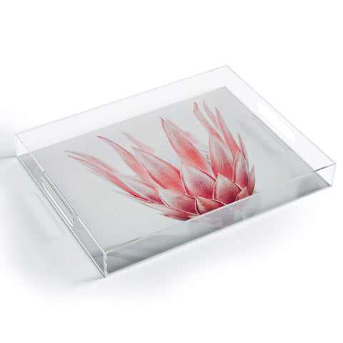 Ingrid Beddoes King Protea flower Acrylic Tray