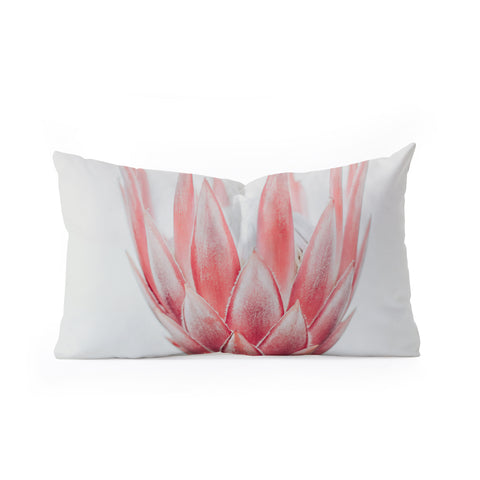 Ingrid Beddoes King Protea flower Oblong Throw Pillow