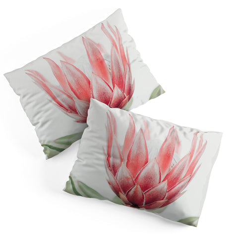 Ingrid Beddoes King Protea flower Pillow Shams