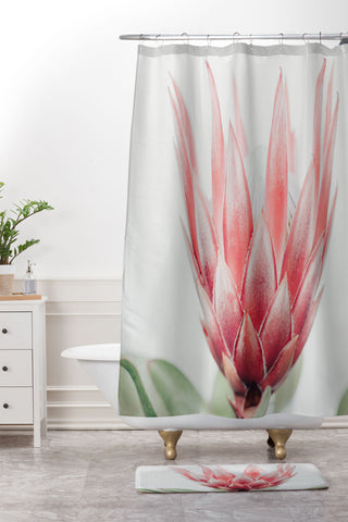Ingrid Beddoes King Protea flower Shower Curtain And Mat