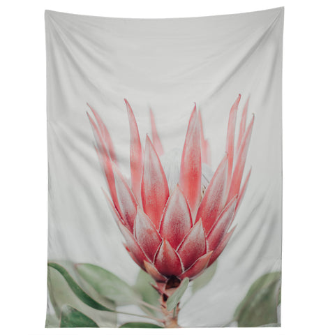 Ingrid Beddoes King Protea flower Tapestry