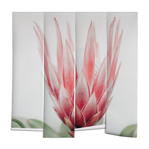 Ingrid Beddoes King Protea flower Wall Mural