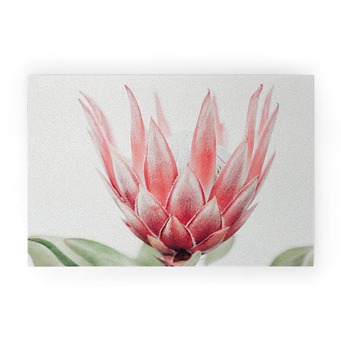 Ingrid Beddoes King Protea flower Welcome Mat