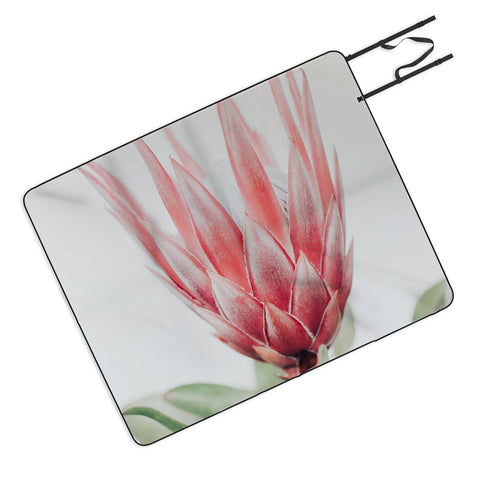 Ingrid Beddoes King Protea flower Picnic Blanket