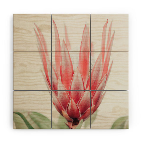 Ingrid Beddoes King Protea flower Wood Wall Mural