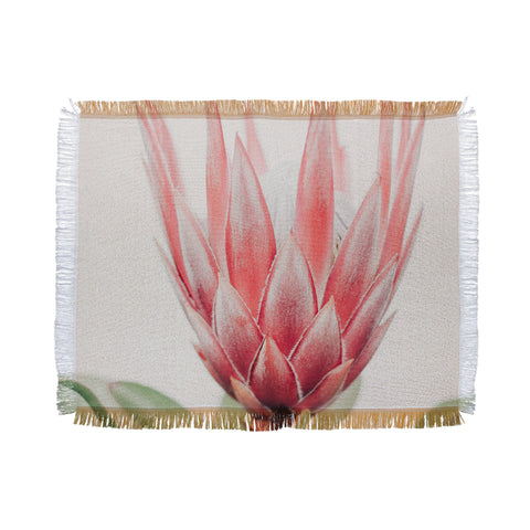 Ingrid Beddoes King Protea flower Throw Blanket