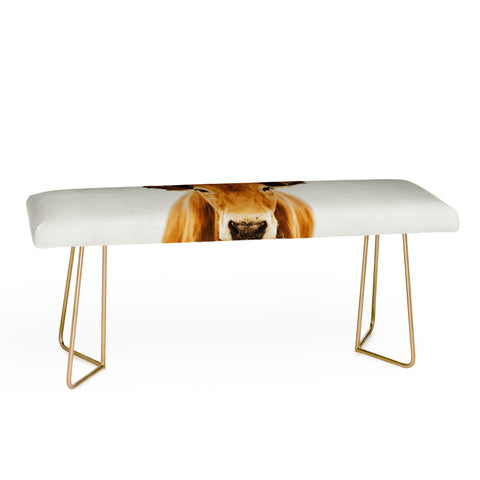 Ingrid Beddoes mel Bench