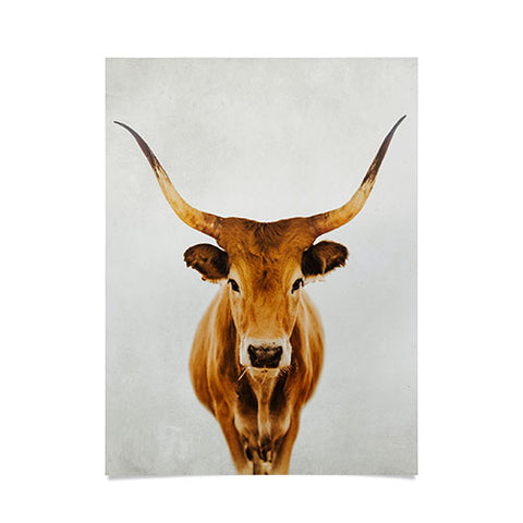 Ingrid Beddoes mel Poster