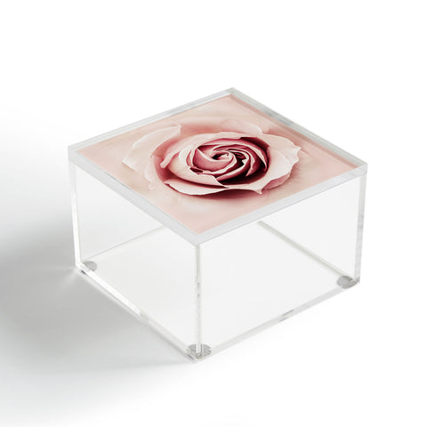 Ingrid Beddoes Milky Pink Rose Acrylic Box
