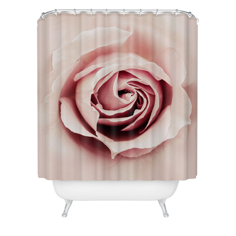 Ingrid Beddoes Milky Pink Rose Shower Curtain
